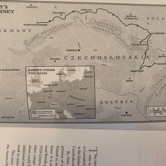 The Prisoner's Wife by Maggie Brookes - Elegant Blue Cover Book - Picture 4 of 8